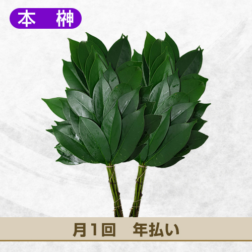本榊 月1回コース（年払い） | さかきの窓口オンラインショップ